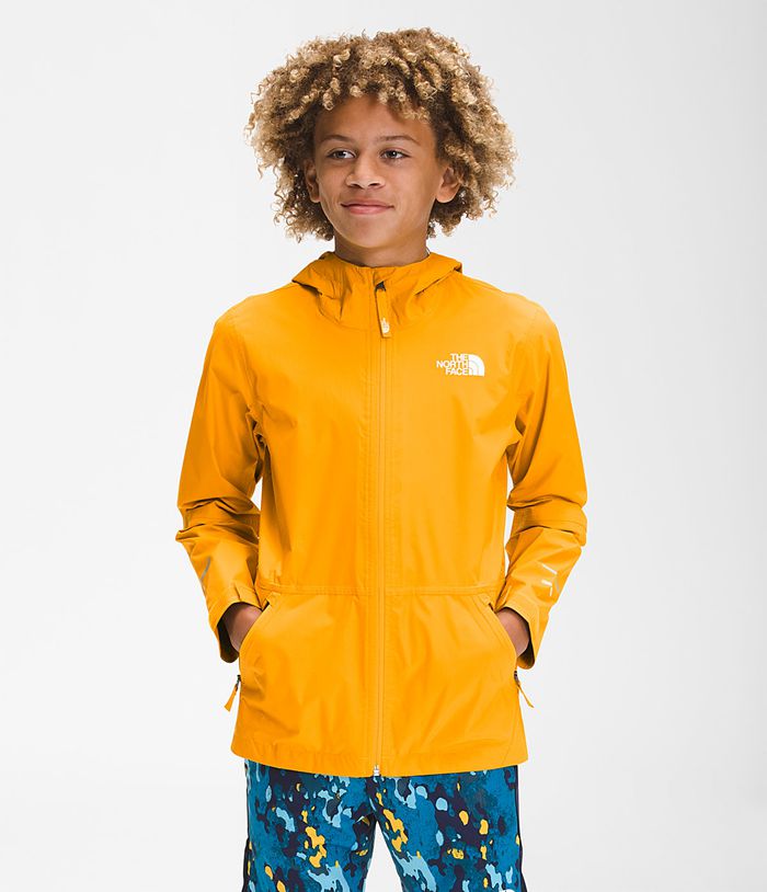 The North Face Jas Jongens Alta Vista Regen ODKW16859 - Goud